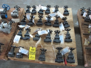 LOT PALLET W/ (24) ASSORTED VALVES (W-51) LOADING & HANDLING FEE $15-